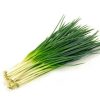 Green onion