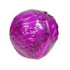 Purple cabbage