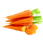 Carrot