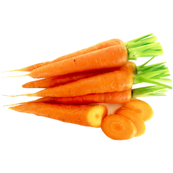 Carrot